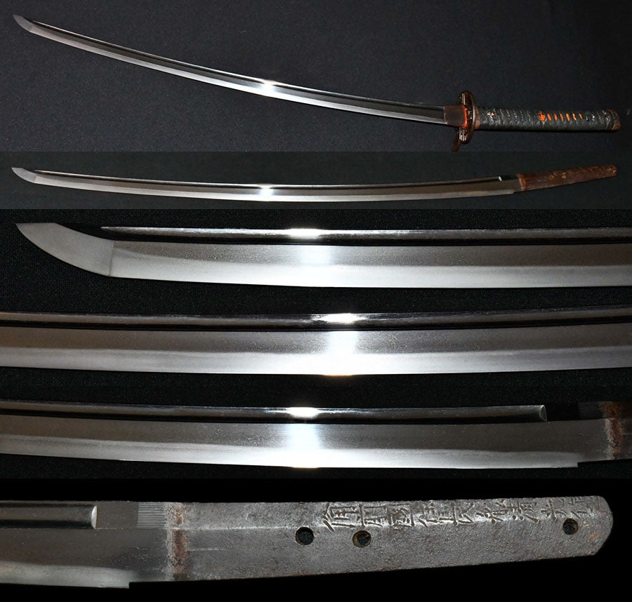 刀 備前国住長船清光作之 天文廿二年二月吉日 特別保存刀剣鑑定書