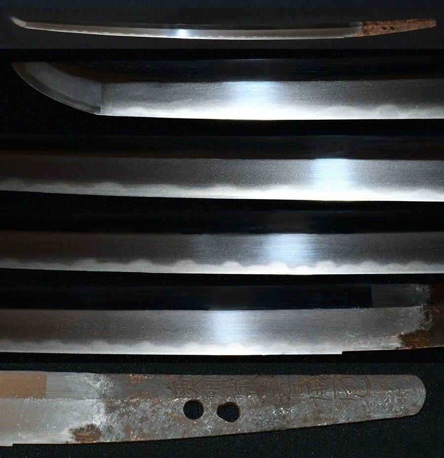 奥州仙台住国包（三代・源次郎）　特別保存刀剣鑑定書　 Wakizashi（Ousyuu Sendai sumi Kunikane）　(Three generations　Genjirou) ［NBTHK：Tokubetsu Hozon］品番：ＷＡ０２１