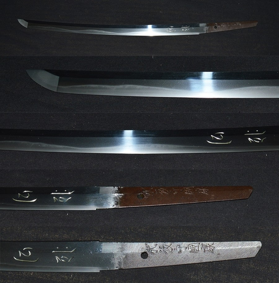 肥後守国康　彫入　特別保存刀剣鑑定書　 Wakizashi（Higono-kami Kuniyasu）［NBTHK：Tokubetsu Hozon］　　　品番：ＷＡ０１４