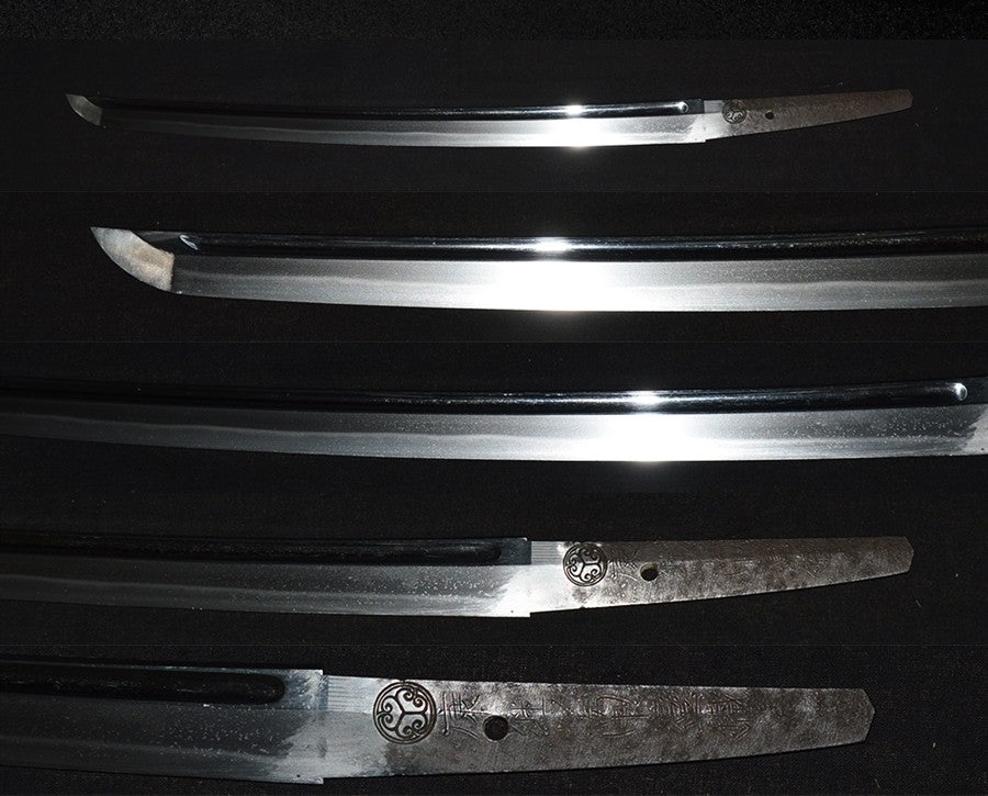 (Aoi Don) Nanban Railway (3rd generation of Edo) Intouzhou Edo Sakuyuki Special Safety Save Swords appreciation Book WAKIZASHI (AOIMON) (Yasutsugu Made of Dutch Iron) (Edo Tree Generations) ) [Nbthk : TOKUBETSU HOZON] Part number: WA018