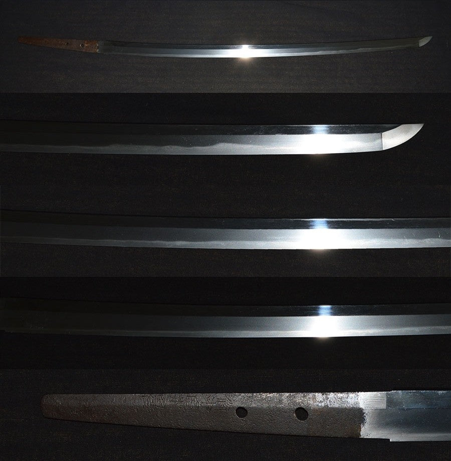 Yamashiro Daijo General Kunishige Chugoku, China Mizuta Residence Special Save Swords Examination Circular Katana (Yamashiro-Daijyo) (Minamoto-Kunisige) Part number: KA016