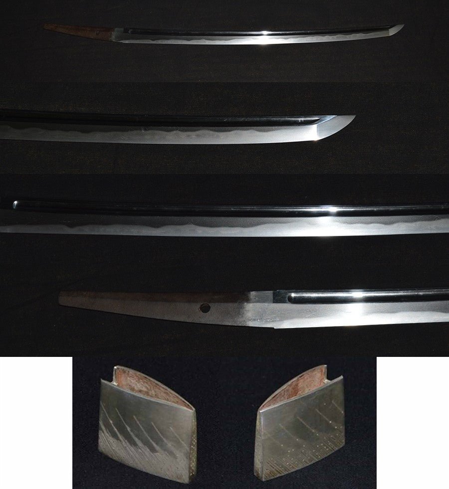 Mutsu Mamoru Press Special Saving Save Sword Statement Price Wakizashi (Mutsuno-Kami KANEYASU) [NBTHK: TOKUBETSU HOZON] Part number: WA015