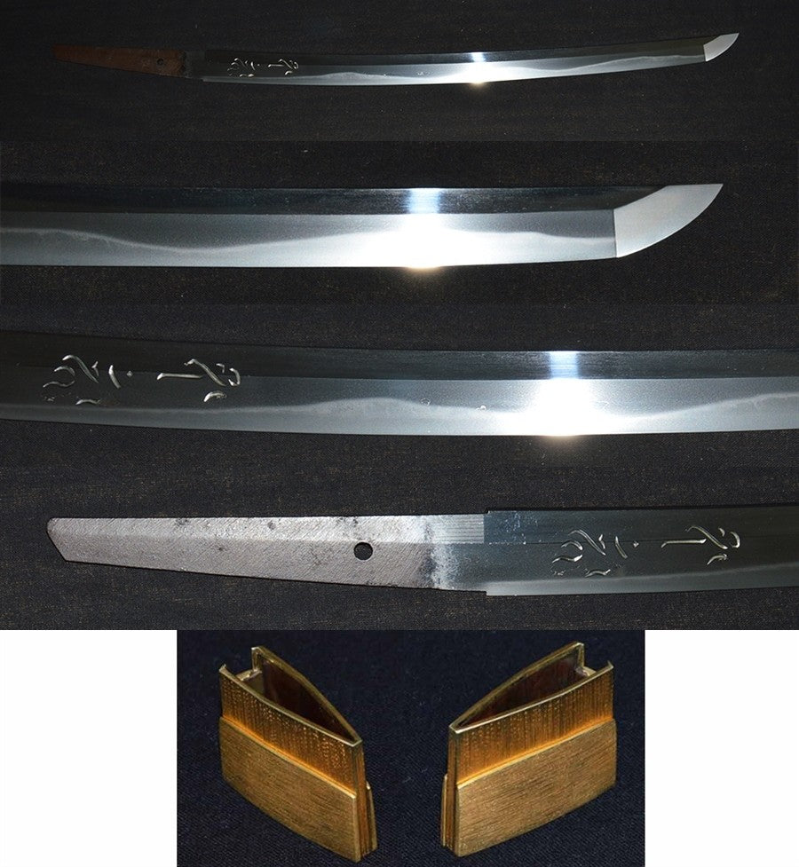 肥後守国康　彫入　特別保存刀剣鑑定書　 Wakizashi（Higono-kami Kuniyasu）［NBTHK：Tokubetsu Hozon］　　　品番：ＷＡ０１４