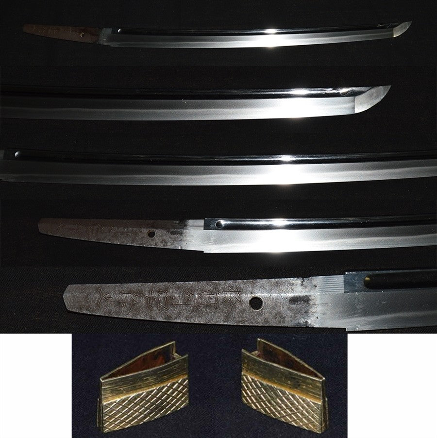 (Aoi Don) Nanban Railway (3rd generation of Edo) Intouzhou Edo Sakuyuki Special Safety Save Swords appreciation Book WAKIZASHI (AOIMON) (Yasutsugu Made of Dutch Iron) (Edo Tree Generations) ) [Nbthk : TOKUBETSU HOZON] Part number: WA018