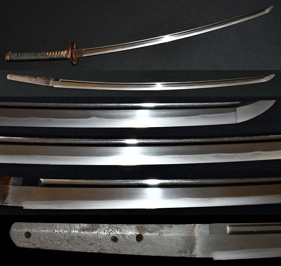 刀 備前国住長船清光作之 天文廿二年二月吉日 特別保存刀剣鑑定書