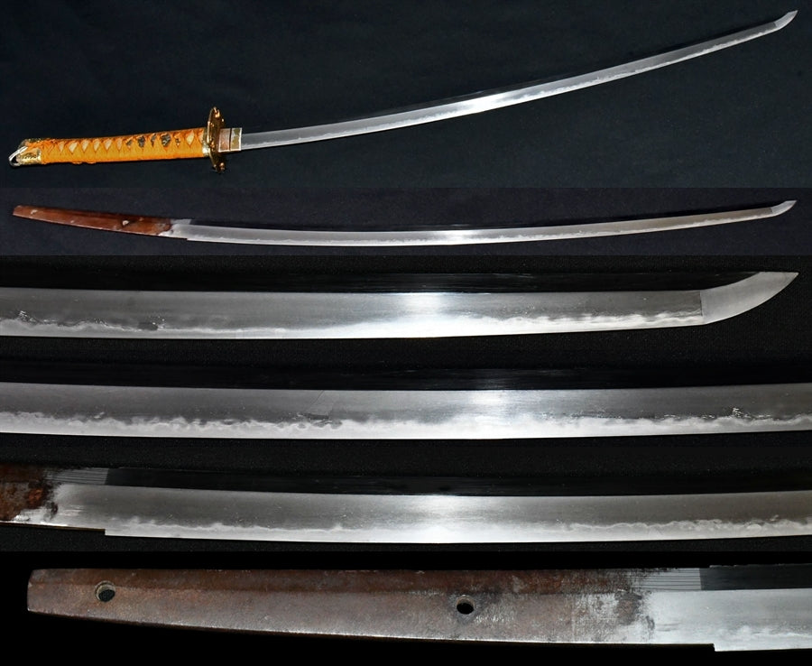 Sword (Kashu Family next era Muromachi) Saved sword sword appreciation book KATANA (No Signature) (KASYU IETSUGU) [NBTHK: HOZON] Part number