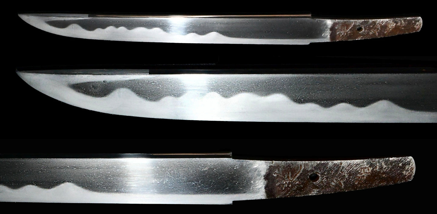 短刀　芙蓉旭　安政巳年八月日（伝月山貞吉） Tanto　Fuyou Asahi  ansei hebidoshi8gatsuhi （Gassan　Sadayoshi）  ［HOZONKAI］　品番：ＴＡ００７
