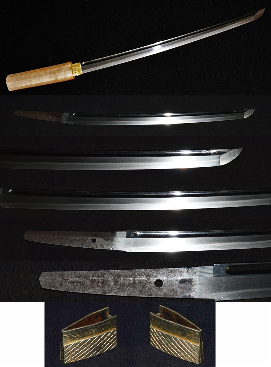 (Aoi Don) Nanban Railway (3rd generation of Edo) Intouzhou Edo Sakuyuki Special Safety Save Swords appreciation Book WAKIZASHI (AOIMON) (Yasutsugu Made of Dutch Iron) (Edo Tree Generations) ) [Nbthk : TOKUBETSU HOZON] Part number: WA018