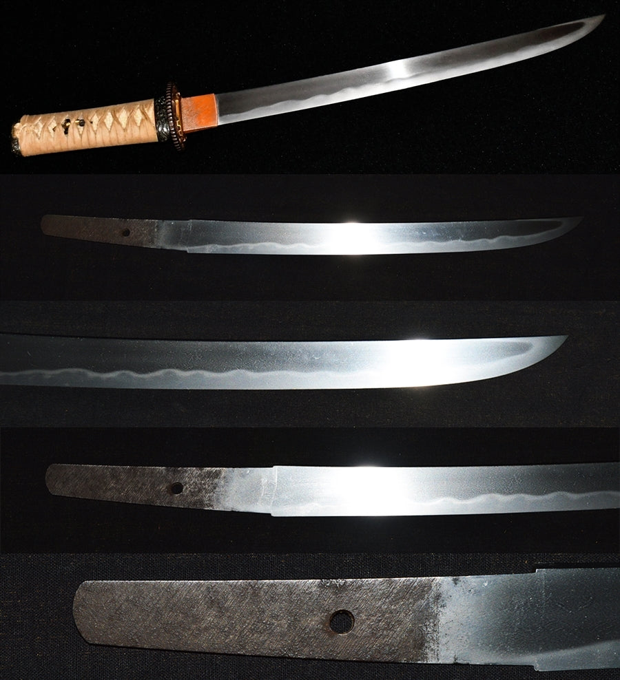 Shuichi Japan Art Sword Conservation Association Special Precious Sword Sword Certification Wakizashi (Shuuichi-Saku) [NBTHK: TOKUBETSU KICHOU] Part number: WA016