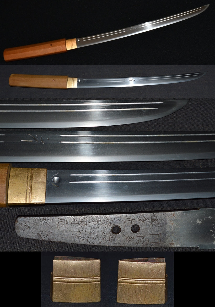 Yoshiji Morioka (Shinto) Agota Taiko □ Taema □ Nun Preservation sword sword appreciation certificate Wakizashi (MORIOKA-SUMI YOSHITUGU) [NBTHK: HOZON] Part number: WA006