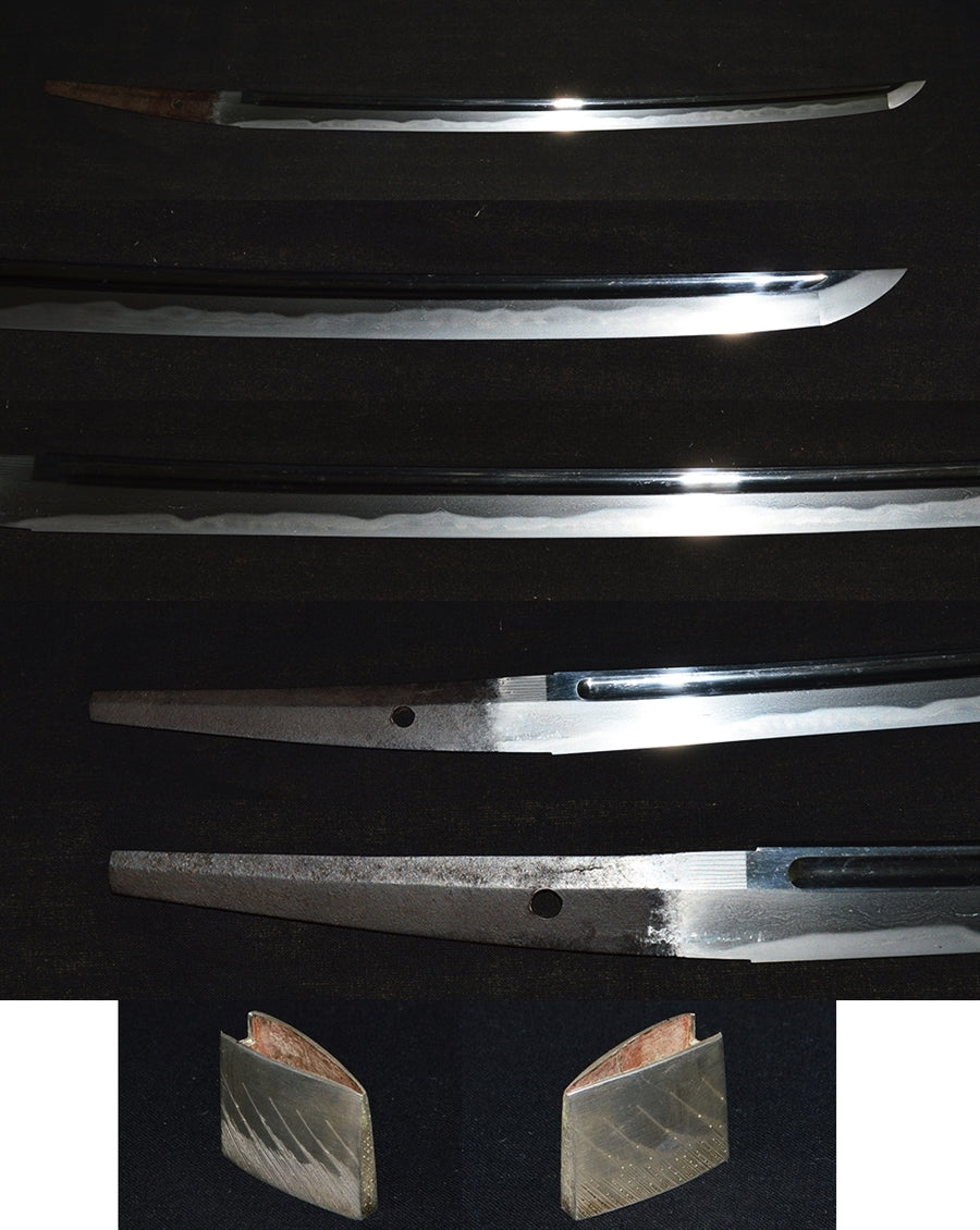 Swords Mutoro Defense Collection Save Swordscape Preservation Book Side Finger Land Finger Merifying Protection Special Save Swordscape Cook Katana (Mutsuno-Kami KANEYASU)] Wakizashi (Mutsuno-Kami KANEYASU) Part number: KA039